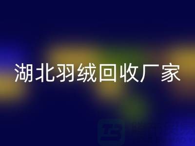 湖北羽絨回收，循環利用的新風尚