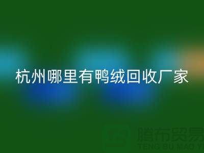 揭秘羽絨回收市場(chǎng),每斤價(jià)值幾何?杭州鴨絨回收廠家