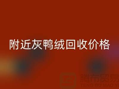 附近灰鴨絨回收價格多少錢一公斤?##上海騰布貿易