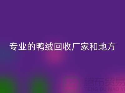 探索鴨絨回收:尋找上海專業(yè)的回收廠家與地方