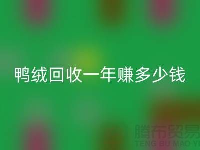 鴨絨回收一年掙多少錢?揭秘利潤(rùn)與環(huán)保的雙重收益