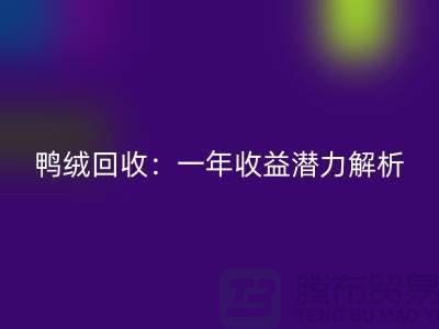鴨絨回收:一年收益潛力解析@上海騰布貿(mào)易