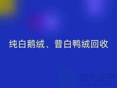 純白普白鴨絨回收-純白普白鵝絨回收-杭州羽絨回收廠家