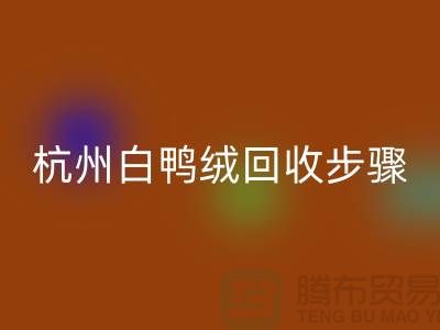 ### 純白 70 絨、80 絨、90 鴨絨回收步驟@杭州羽絨回收廠家