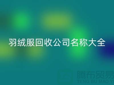 # 二手羽絨服回收公司名稱大全:環保與時尚的新選擇