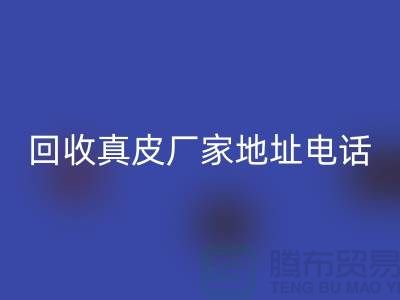 廢舊皮革回收對環境保護的重要意義-廣州回收真皮廠家地址