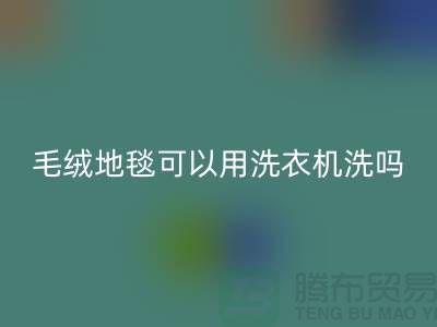 <<毛絨地毯可以用洗衣機洗嗎>>