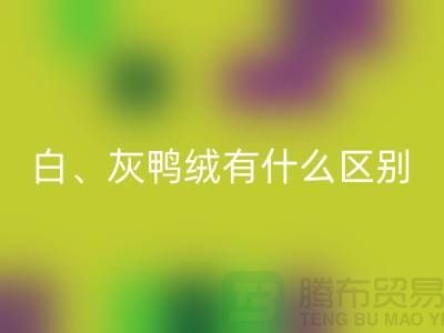白鵝絨、灰鵝絨、白鴨絨、灰鴨絨有什么區別-庫存羽絨回收公司