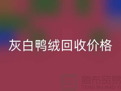 灰白鴨絨回收價格：環保與時尚的完美結合-杭州羽絨回收廠家