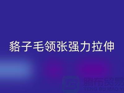 貉子毛領(lǐng)的皮張強力拉伸-為什么不變型-高價回收毛領(lǐng)廠家