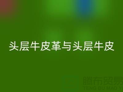 頭層牛皮革與頭層牛皮:材質選擇的深度解析