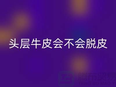 1738502667499347.png 82ca25608260c4a516ec52311ef2274c_1.png