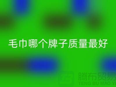 竹纖維毛巾哪個牌子質量最好