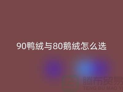 90鴨絨與80鵝絨怎么選好?一篇文章為你解惑!上海騰布貿易