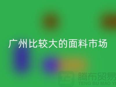 廣州比較大的面料市場_中大布料市場攻略_上海騰布貿(mào)易公司