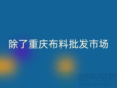 除了重慶布料批發市場是專業的，還有哪些批發市場可以選擇