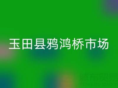 河北服裝尾貨批發(fā)市場在哪里進(jìn)貨——玉田縣鴉鴻橋市場