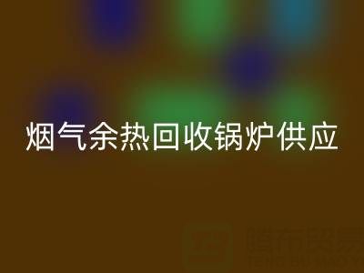 煙氣余熱回收鍋爐供應(yīng)商盤點(diǎn)：行業(yè)領(lǐng)先企業(yè)及技術(shù)解析
