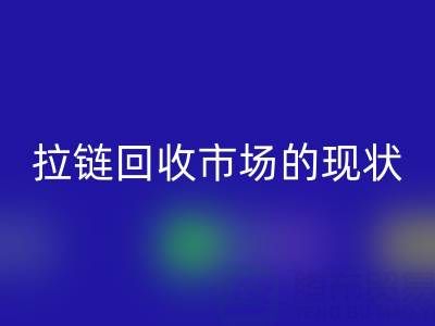 拉鏈回收市場的現狀:機遇與挑戰并存