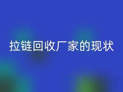 拉鏈回收廠家背后的環保大數據：現狀與展望
