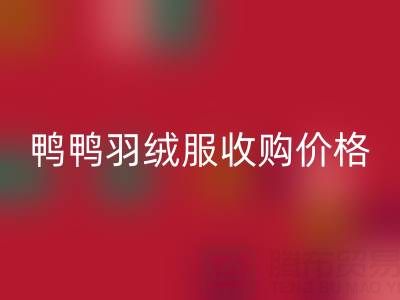 鴨鴨羽絨服收購價格全解析：廠家、平臺、多少錢一件？