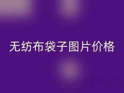 無紡布袋子生產廠家:如何高效獲取產品圖片與價格指南
